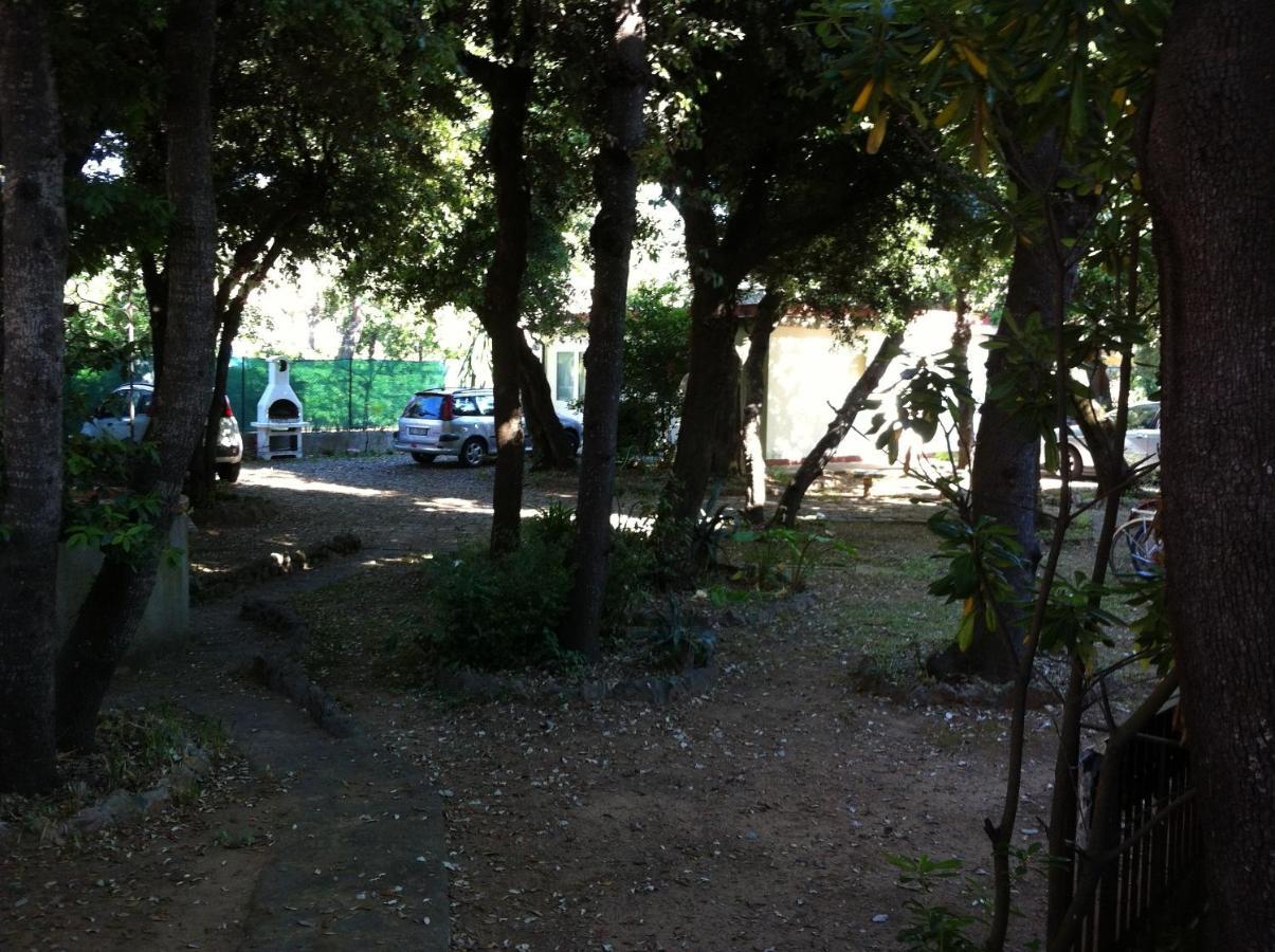 Апартаменты Giardino Sud - A Pochi Passi Dal Mare Сан-Винченцо Экстерьер фото