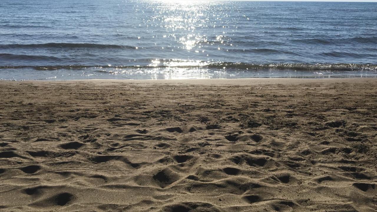 Апартаменты Giardino Sud - A Pochi Passi Dal Mare Сан-Винченцо Экстерьер фото