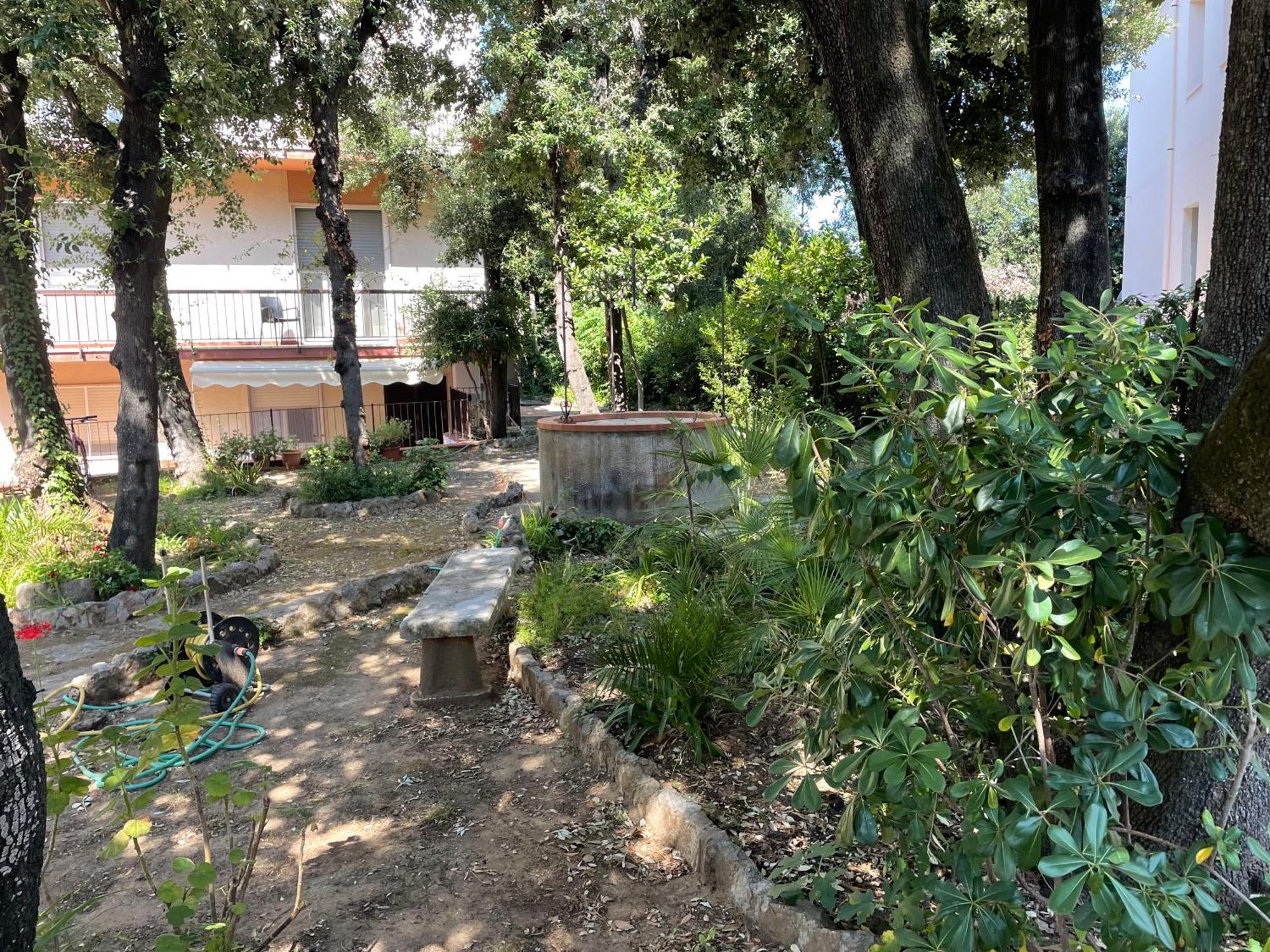 Апартаменты Giardino Sud - A Pochi Passi Dal Mare Сан-Винченцо Экстерьер фото